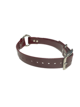 Load image into Gallery viewer, 1'' Dayglo Collar w Center Ring