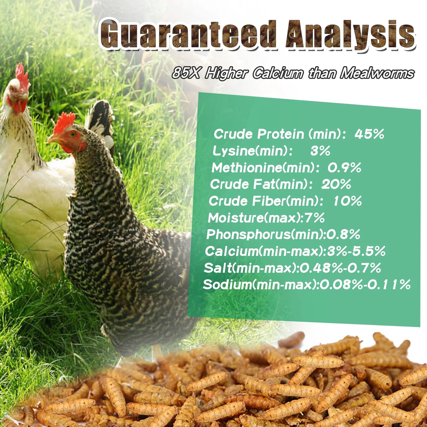 LuckyQworms 5LB Dried Black Soldier Fly Larvae