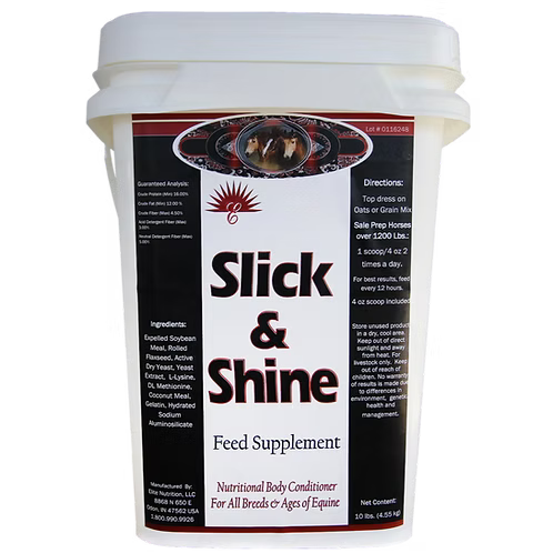 EQ Slick & Shine