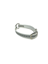 Load image into Gallery viewer, 1" Reflective Dayglo Center Ring 20" Collar