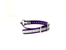 Load image into Gallery viewer, 1" Reflective Dayglo Center Ring 20" Collar