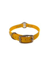 Load image into Gallery viewer, 3/4" Dayglo RIC DIF 16" Collar
