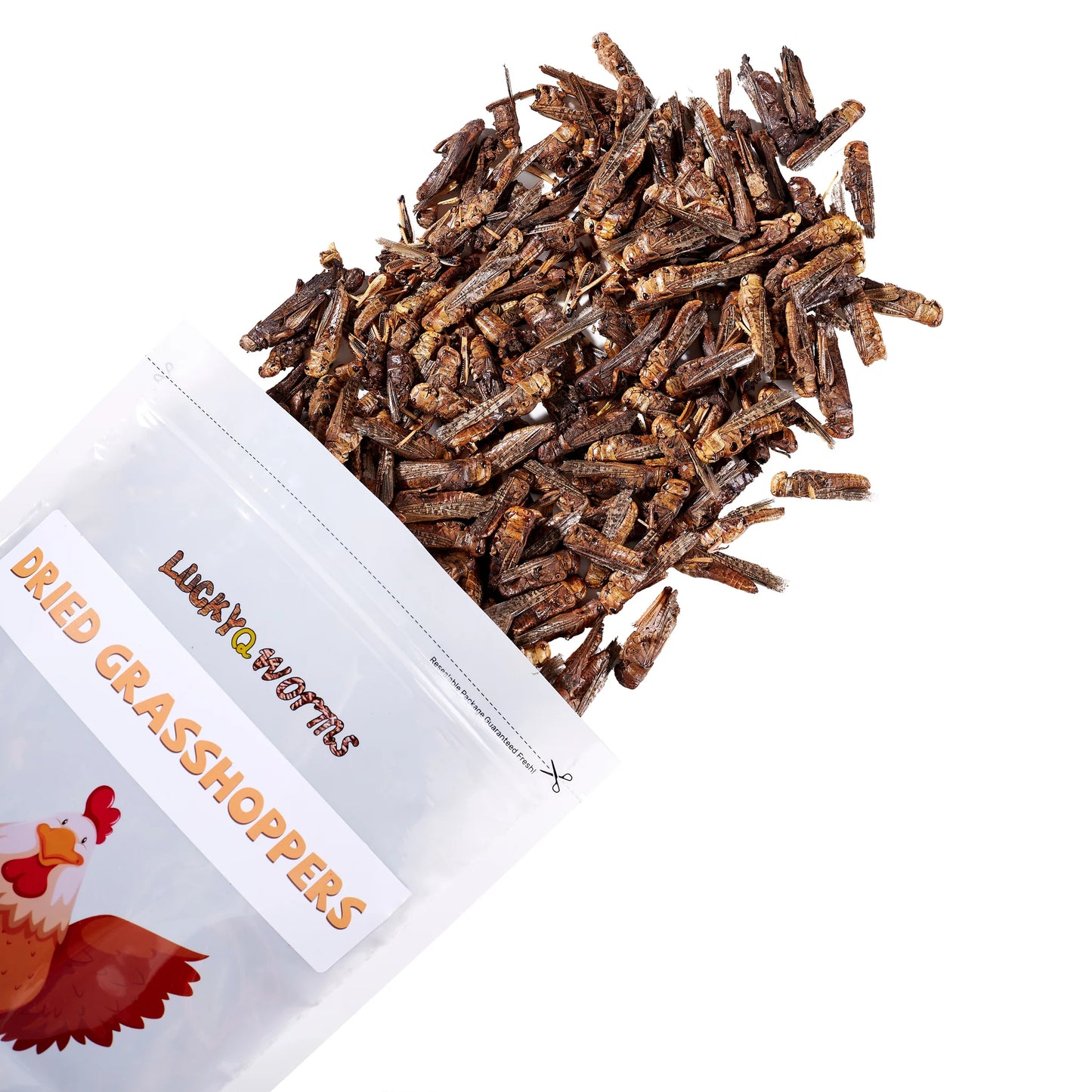 LuckyQworms 1LB Dried Grasshoppers