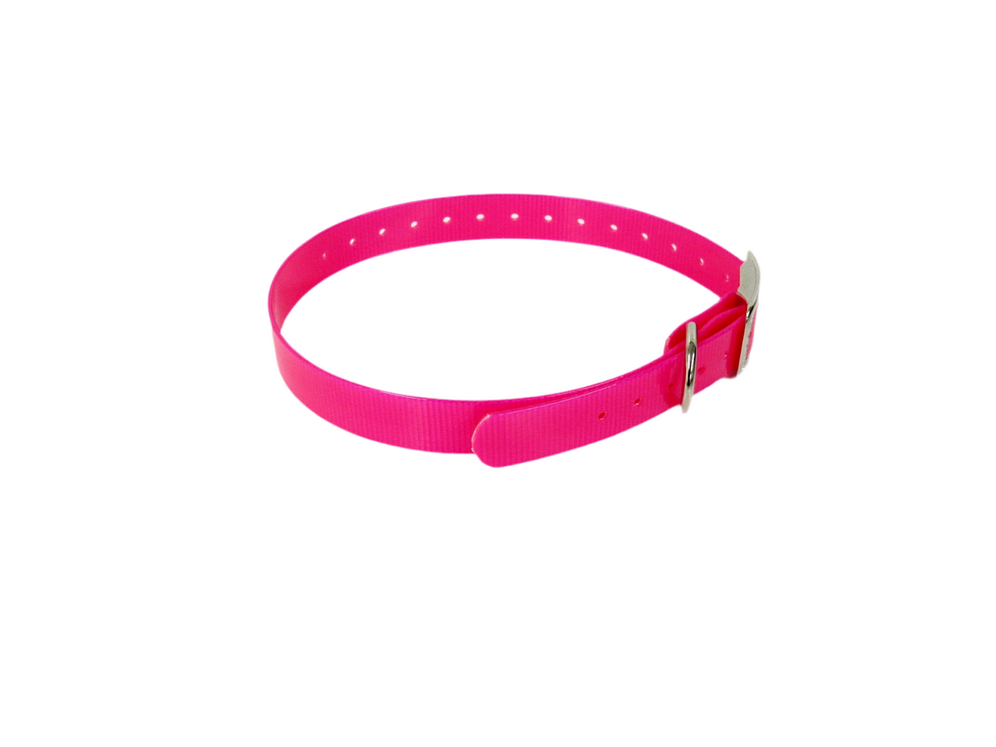 1" Dayglo 20" Collar-Black Hardware