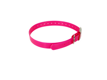 Load image into Gallery viewer, 1" Dayglo  20" Collar