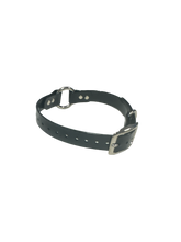 Load image into Gallery viewer, 1'' Dayglo Collar w Center Ring