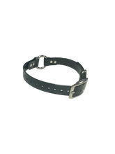 Load image into Gallery viewer, 3/4" Dayglo RIC DIF 16" Collar