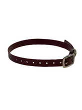 Load image into Gallery viewer, 1" Dayglo  20" Collar