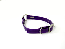 Load image into Gallery viewer, 3/4" Dayglo RIC DIF 16" Collar