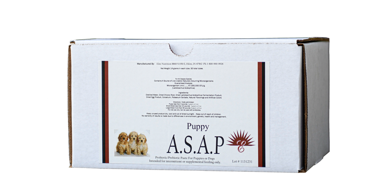 ASAP Puppy