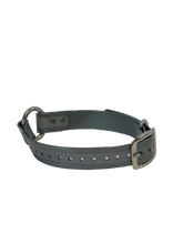 Load image into Gallery viewer, 1" Reflective Dayglo Center Ring 20" Collar