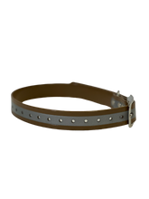 Load image into Gallery viewer, 1''DayGlo Reflective Collar