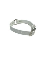 Load image into Gallery viewer, 1'' Dayglo Collar w Center Ring