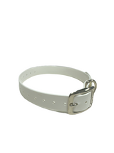 Load image into Gallery viewer, 1" Dayglo  20" Collar