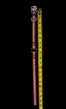 Load image into Gallery viewer, 3/4" Reflective Dayglo Collar w Center Ring