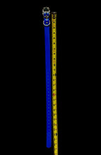 Load image into Gallery viewer, 1'' DayGlo Collar
