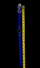 Load image into Gallery viewer, 3/4'' DayGlo Collar w Center Ring