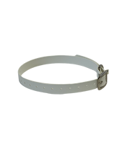 Load image into Gallery viewer, 3/4" Dayglo Collar
