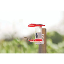 Load image into Gallery viewer, Smart Hummingbird Feeder