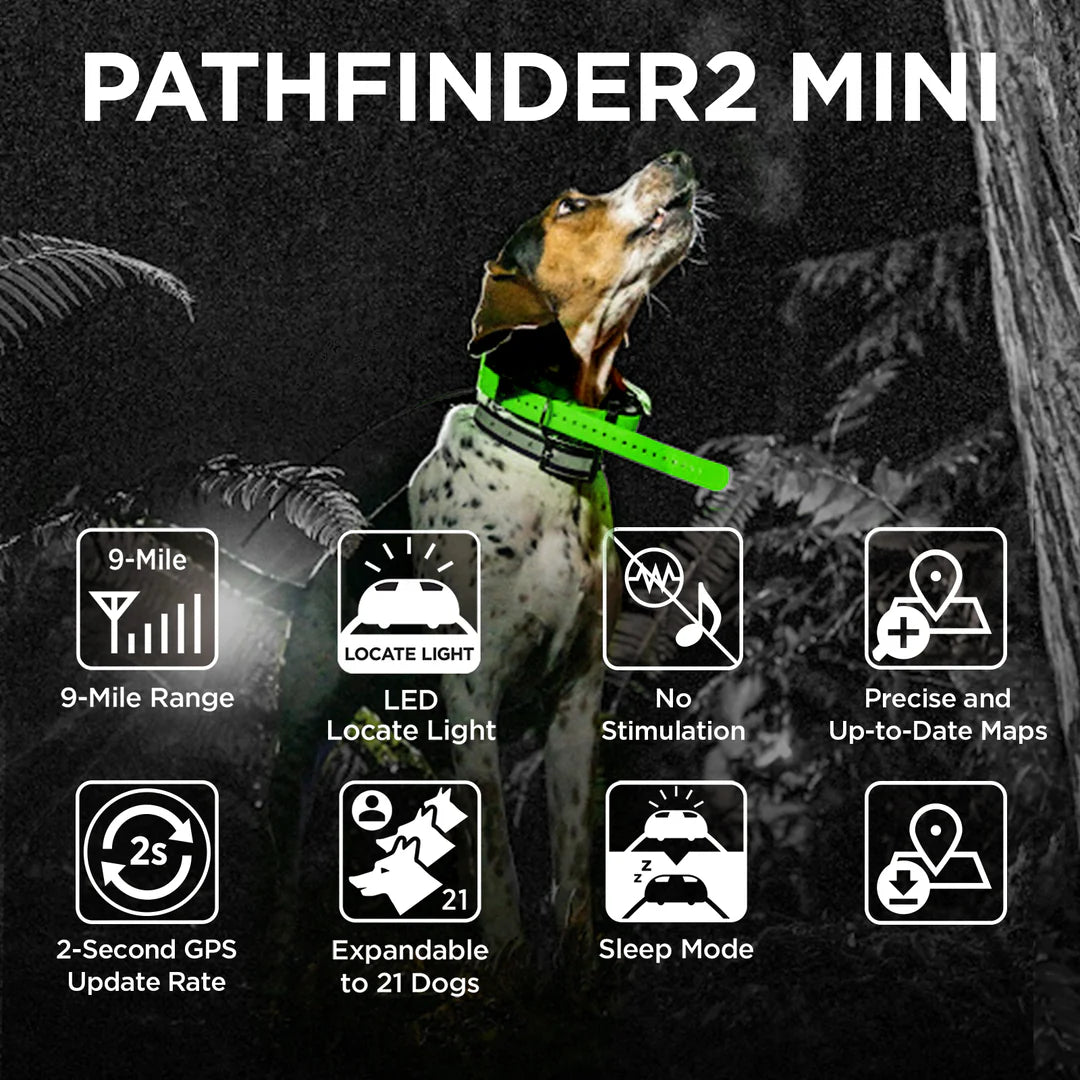 Dogtra Pathfinder 2 Mini Collar