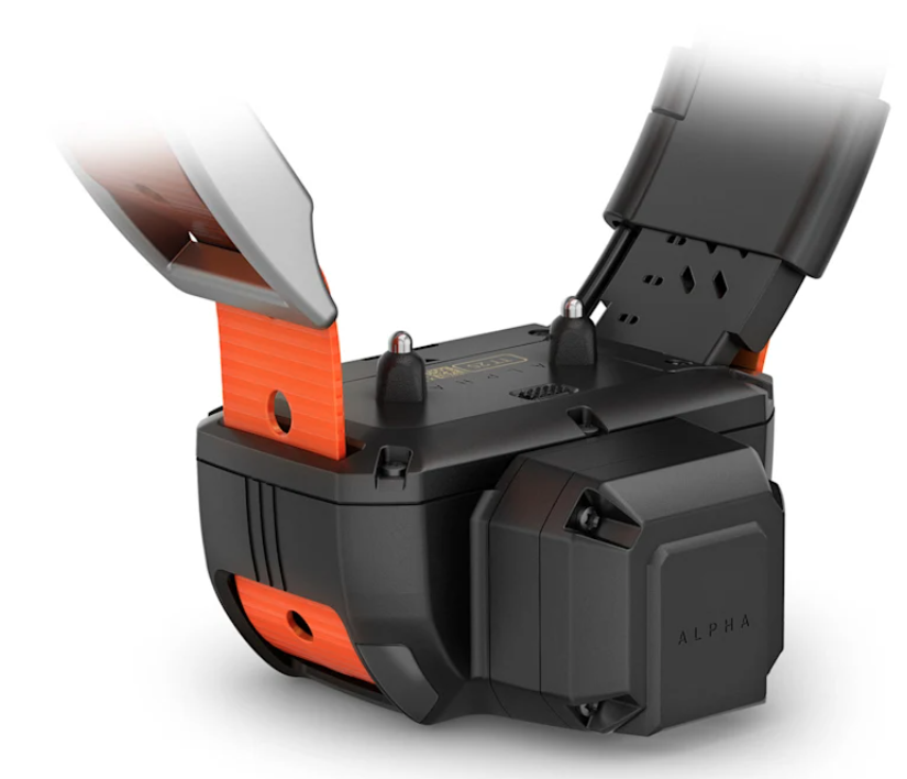 Alpha® TT 25 Dog Collar with Tracking Beeper