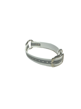 Load image into Gallery viewer, 3/4" Reflective Dayglo Collar w Center Ring