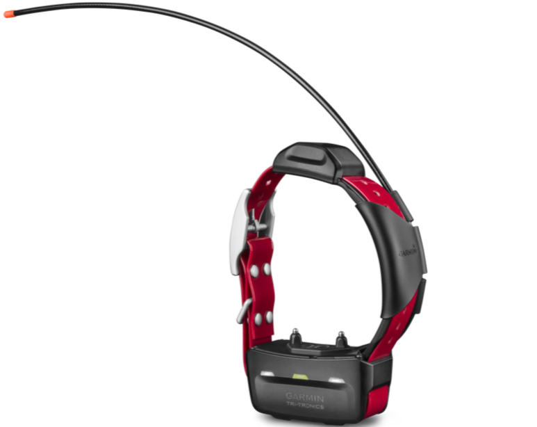 Garmin TT 15 Collar Mini – Cajun Lights