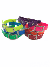 Load image into Gallery viewer, 1'' Dayglo Collar w Center Ring