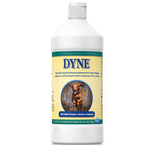 Load image into Gallery viewer, Dyne Nutritional Supplement
