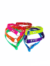 Load image into Gallery viewer, 3/4'' DayGlo Collar w Center Ring