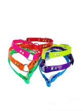 Load image into Gallery viewer, 3/4&#39;&#39; DayGlo Collar w Center Ring
