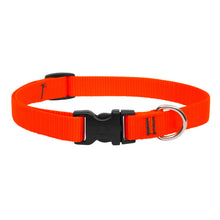 Load image into Gallery viewer, Lupine Basic Solids Dog Collar