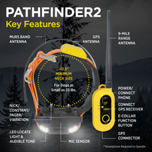 Load image into Gallery viewer, Dogtra Pathfinder 2