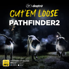Load image into Gallery viewer, Dogtra Pathfinder 2 Green Collar