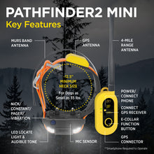 Load image into Gallery viewer, Dogtra Pathfinder 2 Mini