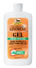Load image into Gallery viewer, Absorbing Veterinary Liniment Gel