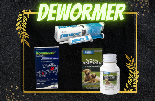 Wormer (Dewormer)