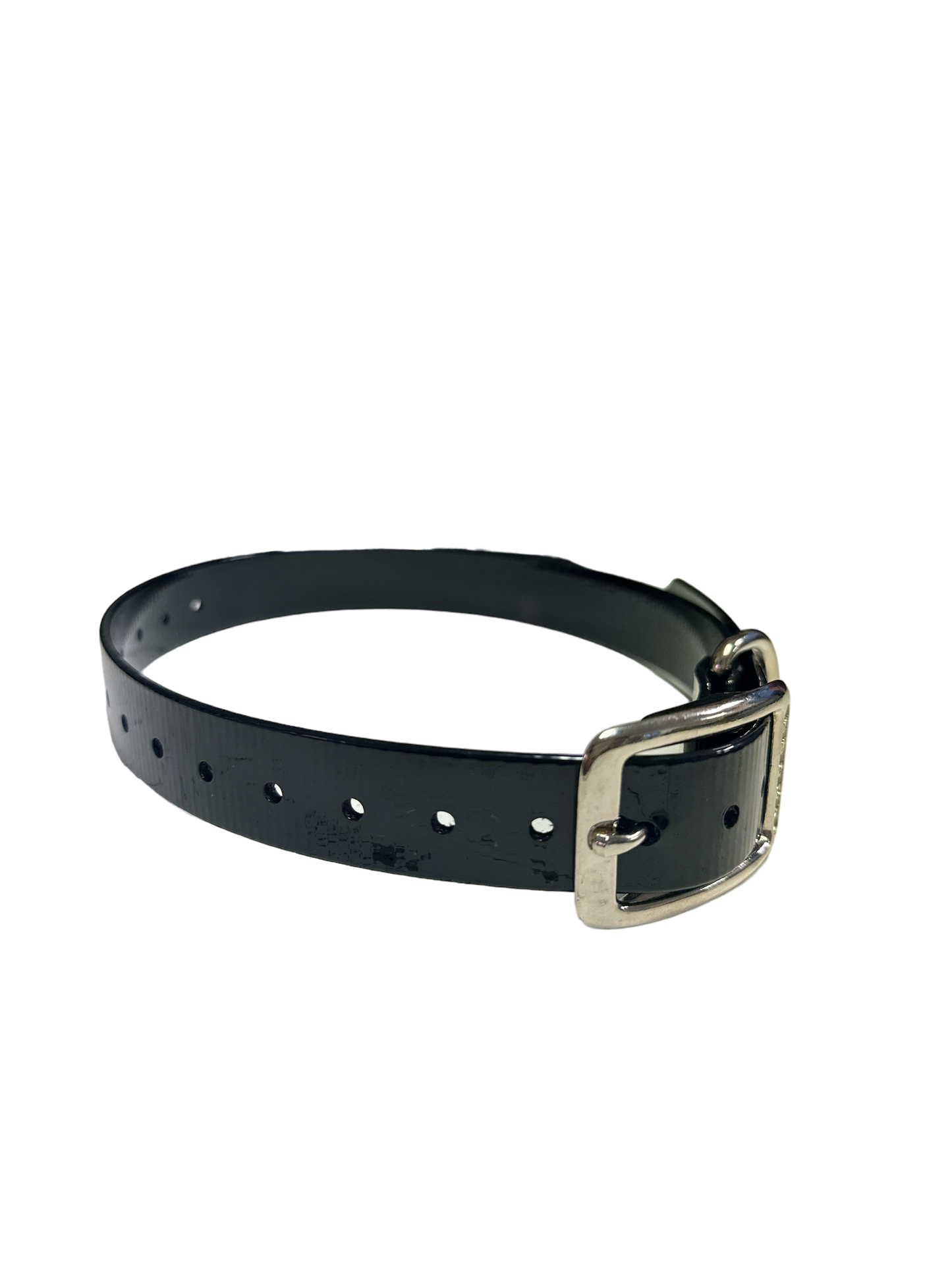 1'' DayGlo Collar