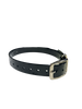 1'' DayGlo Collar