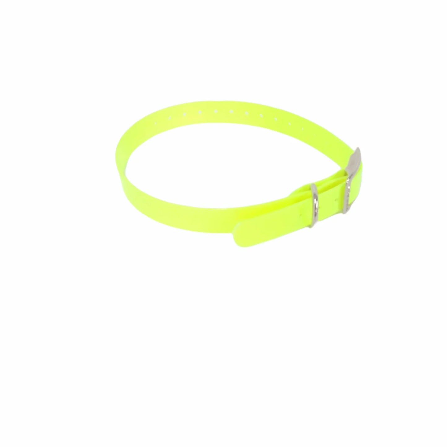 1" Dayglo Center Ring DIF 20" Collar