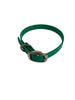 1/2"Dayglo Puppy DIF 12" Collar