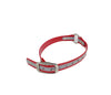 3/4" Reflective Dayglo Center Ring DIF 16" Collar