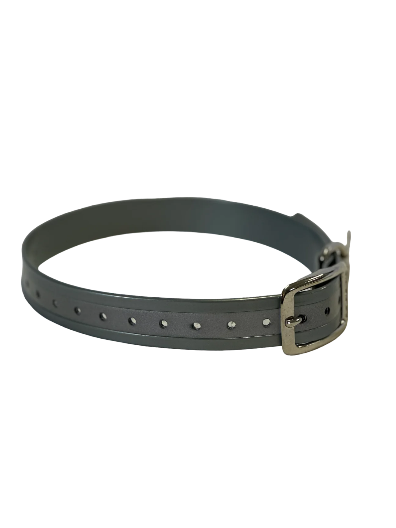 3/4" Reflective Dayglo 20" Collar