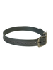 3/4" Reflective Dayglo  16" Collar