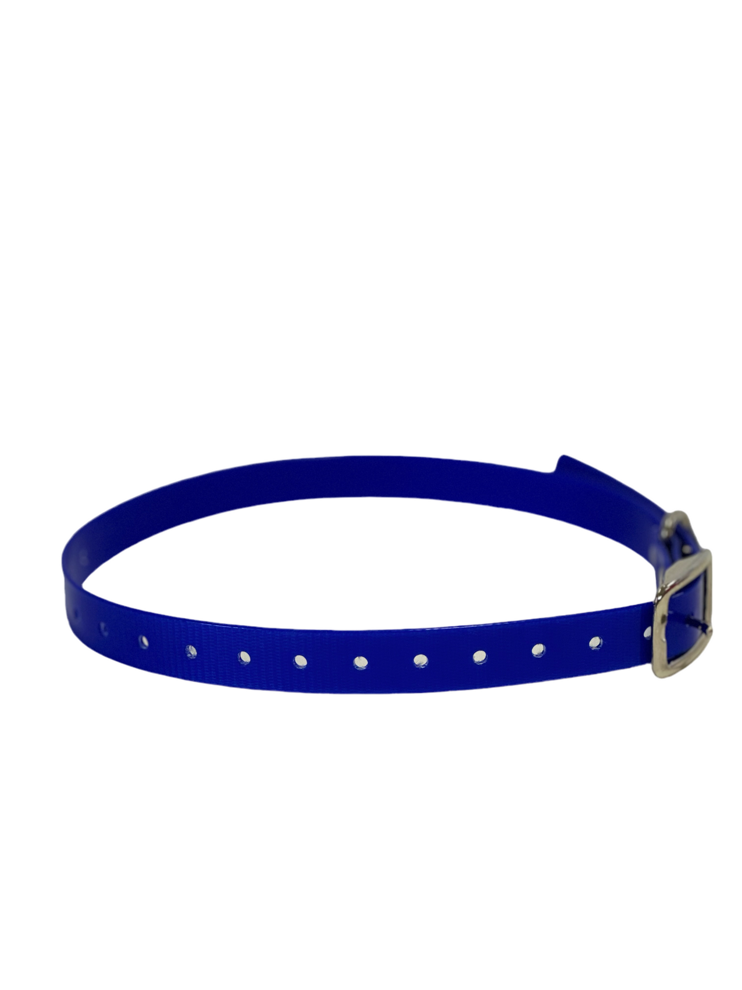1" Dayglo  20" Collar-Black Hardware
