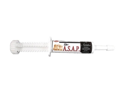 ASAP Puppy