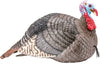 Hunters specialties Turkey Decoys: Jake