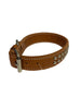 1 1/2" Leather Collar with brass spots 20"