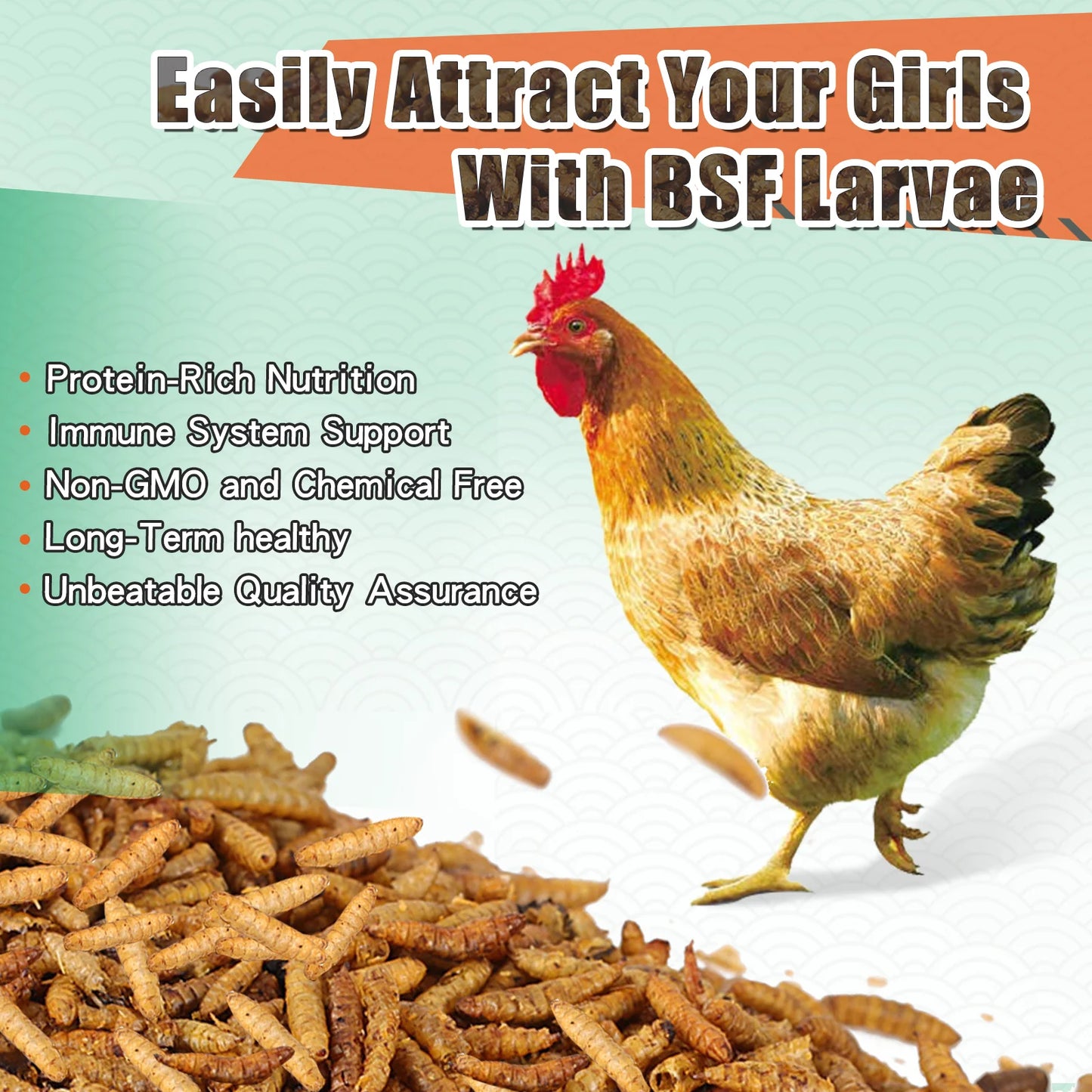 LuckyQworms 5LB Dried Black  Soldier Fly Larvae