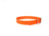 3/4" Dayglo Collar